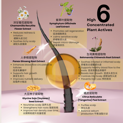 Scalp Revitalizing Essence 100ml